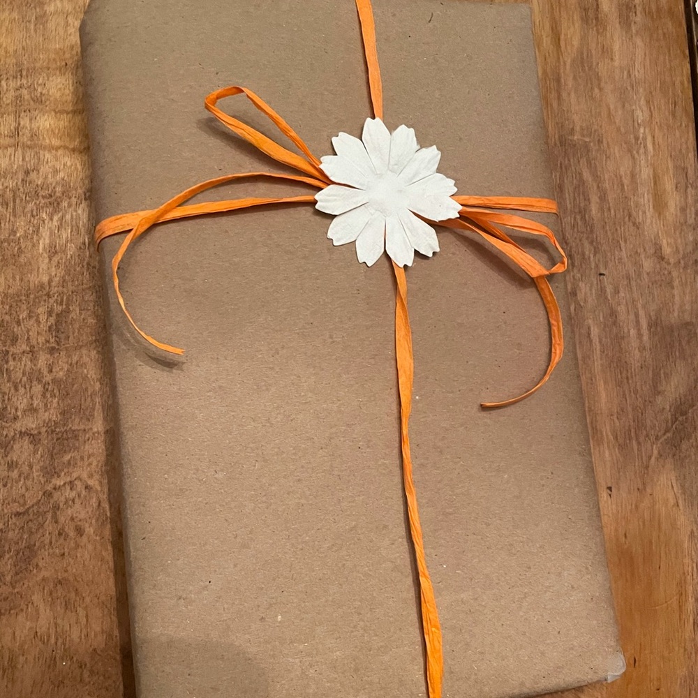 BLIND DATE BOOK / SURPRISE BOOK
